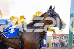 2026_PACEPIX_GP17032026_Race4_Troubadour_WIN_WEB-17