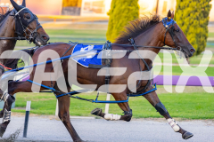 2026_PACEPIX_GP17032026_Race4_Troubadour_WIN_WEB-6