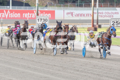 Tualou_03-04-2026_WIN_Gloucester-Park_4__03