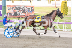 Tualou_03-04-2026_WIN_Gloucester-Park_4__09