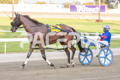 Tualou_03-04-2026_WIN_Gloucester-Park_4__10