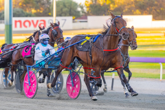 2026_PACEPIX_GP03032026_RACE4_TurboJay_WIN_WEB-1