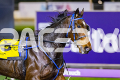 2026_PACEPIX_GP15052026_Race4_UltimateMiki_WIN_WEB-4