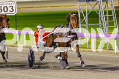 2025_PACEPIX_GP02092025_RACE4_UnderTheAlta_WIN_WEB-10