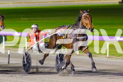2025_PACEPIX_GP02092025_RACE4_UnderTheAlta_WIN_WEB-11