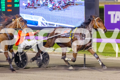 2025_PACEPIX_GP02092025_RACE4_UnderTheAlta_WIN_WEB-14