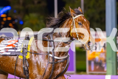 2025_PACEPIX_GP02092025_RACE4_UnderTheAlta_WIN_WEB-20
