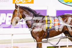 2025_PACEPIX_GP02092025_RACE4_UnderTheAlta_WIN_WEB-23