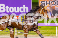 2025_PACEPIX_GP02092025_RACE4_UnderTheAlta_WIN_WEB-4