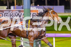 2025_PACEPIX_GP02092025_RACE4_UnderTheAlta_WIN_WEB-7