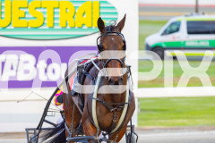 2025_PACEPIX_GP14102025_Race4_Unlucky_WIN_WEB-12