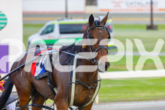 2025_PACEPIX_GP14102025_Race4_Unlucky_WIN_WEB-13