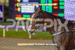 2026_PACEPIX_GP18092026_RACE4_WaterLou_WIN_WEB-10