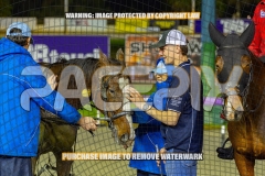 2026_PACEPIX_GP18092026_RACE4_WaterLou_WIN_WEB-14