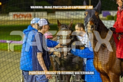 2026_PACEPIX_GP18092026_RACE4_WaterLou_WIN_WEB-15