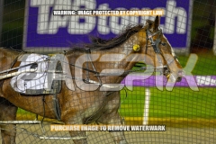 2026_PACEPIX_GP18092026_RACE4_WaterLou_WIN_WEB-6