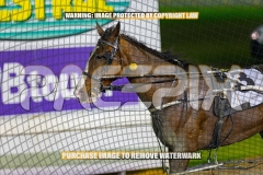 2026_PACEPIX_GP18092026_RACE4_WaterLou_WIN_WEB-8