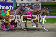 When-In-Vegas_16-06-2026_WIN_Gloucester-Park_4__04