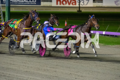 When-In-Vegas_16-06-2026_WIN_Gloucester-Park_4__05