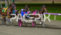 When-In-Vegas_16-06-2026_WIN_Gloucester-Park_4__06