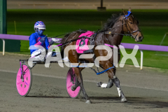 When-In-Vegas_16-06-2026_WIN_Gloucester-Park_4__08
