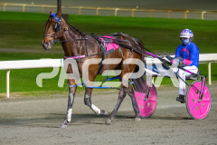 When-In-Vegas_16-06-2026_WIN_Gloucester-Park_4__10