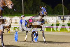 2025_PACEPIX_GP26082025_Race4_WishingBelle_WIN_WEB-1