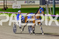 2025_PACEPIX_GP26082025_Race4_WishingBelle_WIN_WEB-16