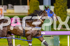 2025_PACEPIX_GP26082025_Race4_WishingBelle_WIN_WEB-4