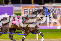 2025_PACEPIX_GP26082025_Race4_WishingBelle_WIN_WEB-7