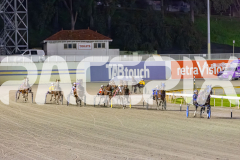 2025_PACEPIX_GP26082025_Race4_WishingBelle_WIN_WEB-8