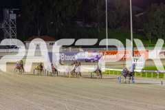 2025_PACEPIX_GP26082025_Race4_WishingBelle_WIN_WEB-9
