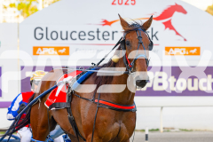 2025_PACEPIX_GP18112025_RACE4_Yawoma_WIN_WEB-17