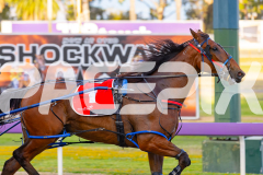 2025_PACEPIX_GP18112025_RACE4_Yawoma_WIN_WEB-3