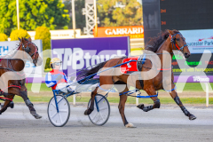 2025_PACEPIX_GP18112025_RACE4_Yawoma_WIN_WEB-6