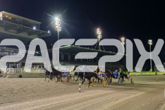 2026_PACEPIX_GP05062026_RACE4_YoureSoFine_WIN_WEB-11