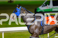 2026_PACEPIX_GP05062026_RACE4_YoureSoFine_WIN_WEB-15