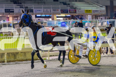 2026_PACEPIX_GP05062026_RACE4_YoureSoFine_WIN_WEB-16