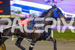 2026_PACEPIX_GP05062026_RACE4_YoureSoFine_WIN_WEB-5