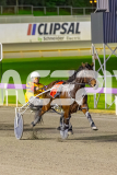 2025_PACEPIX_GP11072025_Race4_MisterFantastic_WIN_WEB-13
