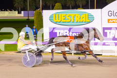 2025_PACEPIX_GP11072025_Race4_MisterFantastic_WIN_WEB-18