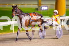 2025_PACEPIX_GP11072025_Race4_MisterFantastic_WIN_WEB-24