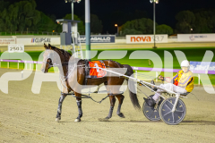 2025_PACEPIX_GP11072025_Race4_MisterFantastic_WIN_WEB-27