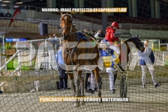 2026_PACEPIX_GP16102026_Race4_ImStealthy_WIN_WEB-23