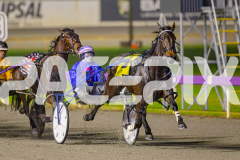 RACE 4 - Kinky
