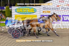 RACE 5 - A Precious Gem