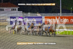 2026_PACEPIX_GP04092026_Race5_APreciousGem_WIN_WEB-1