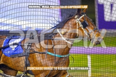 2026_PACEPIX_GP04092026_Race5_APreciousGem_WIN_WEB-12