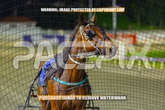 2026_PACEPIX_GP04092026_Race5_APreciousGem_WIN_WEB-16