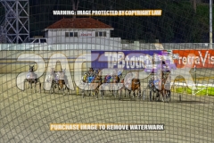 2026_PACEPIX_GP04092026_Race5_APreciousGem_WIN_WEB-2
